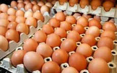 Châu Âu giận dữ vì vụ bê bối trứng gà nhiễm hóa chất