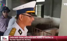Chăn nuôi trong điều kiện khắc nghiệt ở Trường Sa