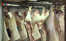 Thịt lợn không có thông tin truy xuất vẫn được vào chợ đầu mối ở TP.HCM