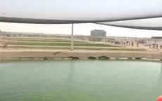 Nông nghiệp trên sa mạc tại UAE