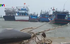 Chủ động các biện pháp ứng phó với áp thấp nhiệt đới