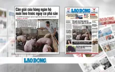 Ngành chăn nuôi lợn "thoi thóp": Nguyên nhân và giải pháp