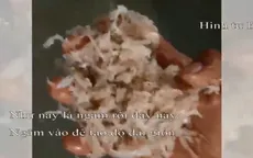 Nem chua rán: Càng dai, càng giòn, càng… sợ