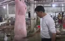 Thực hư bên trong lò giết mổ treo: Sạch hay bẩn?
