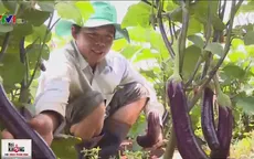 Gỡ "bí" cho người nông dân : Góc nhìn từ Mô hình hỗ trợ sản xuất nông sản sạch