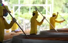 Đồng Tháp: Từ cùng đường mưu sinh đến đổi đời nhờ muối