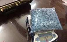 Phá đường dây ma túy xuyên quốc gia qua đường chuyển phát nhanh