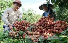 Xuất khẩu rau, quả ước đạt 1,38 tỷ USD