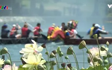 Lễ hội Hoa sen - Tôn vinh bản sắc văn hóa châu Á