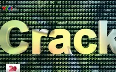 Tràn lan người dùng crack phần mềm bản quyền