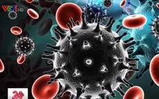 Hiểu đúng về con đường lây nhiễm HIV