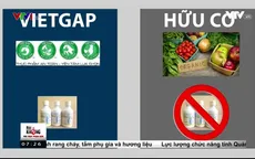 Người tiêu dùng hoang mang với "ma trận" chứng nhận rau hữu cơ