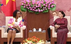 Chủ tịch Quốc hội tiếp Tổng Chưởng lý Cộng hòa Mozambique