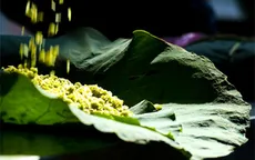 Hà Nội lọt Top điểm đến xu hướng trong năm 2017