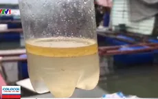 Người dân bất ngờ phát hiện váng vàng nổi khắp sông Chà Và