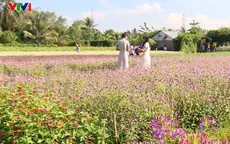 Thành công từ làm du lịch kiểu vườn hoa Đà Lạt