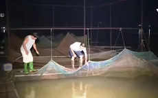 Thâu đêm bảo vệ lồng bè trước giờ xả lũ hồ Hòa Bình