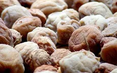 Xẹp phổi do sặc ô mai, một bé gái suýt chết