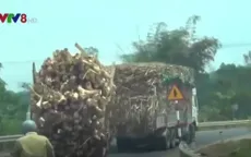 Đăk Lăk: Xe quá tải ngang nhiên lộng hành