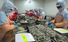 Chuỗi sản xuất tôm sạch đầu tiên xuất khẩu sang EU tại Kiên Giang