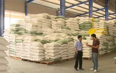 Bãi bỏ quy hoạch thương nhân kinh doanh xuất khẩu gạo