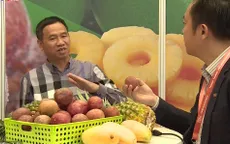 Đẩy mạnh xuất khẩu nông sản chính ngạch sang Trung Quốc