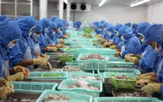 Quý I/2017, Nhật Bản dẫn đầu nhập khẩu tôm Việt Nam