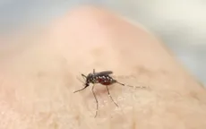 Thêm một ca nhiễm Zika tại Hàn Quốc