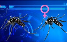 Mỹ: Alphabet thử nghiệm thả 20 triệu con muỗi chống virus Zika