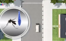 Alphabet phát triển công nghệ tiêu diệt muỗi mang virus Zika