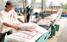 Vượt qua giá gạo Thái Lan xuất khẩu, gạo Việt xác lập đỉnh cao mới
