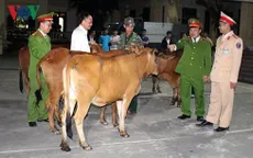 Đối tượng chuyên trộm trâu bò của người dân sa lưới