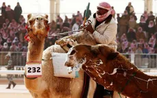 Cuộc thi lạc đà đẹp nhất tại Saudi Arabia