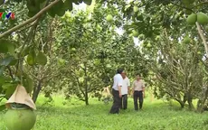 Các loại đặc sản Tết mới lạ đắt hàng