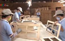 Tìm lời giải cho bài toán nguồn cung nguyên liệu gỗ