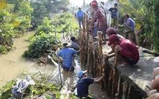 Khẩn trương gia cố đê bao bị vỡ tại Vĩnh Long