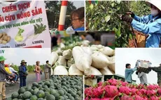 Hàng loạt siêu thị tham gia chiến dịch "giải cứu" thanh long