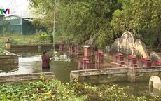 Hàng trăm ngôi mộ bị ngập úng vì... đô thị về làng