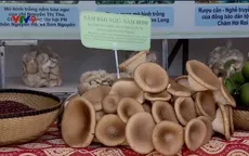 Ngày hội quảng bá sản phẩm hỗ trợ phụ nữ khởi nghiệp 2018