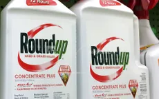 “Lơ lửng” án phạt 289 triệu USD dành cho Monsanto