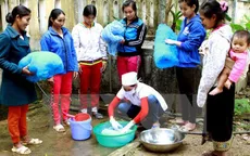Báo động sốt rét gia tăng tại Phú Yên