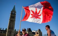Canada trở thành quốc gia thứ hai hợp pháp hóa cần sa