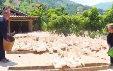 Không để người nghèo ở lại phía sau