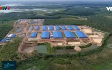 Trại lợn khổng lồ xây trái phép lấn chiếm hành lang bảo vệ nguồn nước