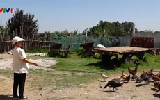 Làng phụ nữ Việt Nam tại Maroc