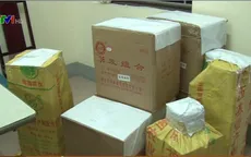 Phát hiện vụ vận chuyển gần 300kg pháo nổ tại Nghệ An