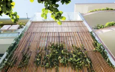 Bí quyết làm mới một ngôi nhà ống