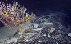 Tháng 12/2018, chính thức khởi động dự án khám phá bí ẩn 5 đáy đại dương