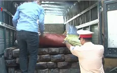 Tạm giữ tang vật vụ vận chuyển gỗ quý hiếm trái phép