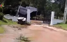 Nhiều diện tích cây trồng vàng lá, chết dần trong nước ngập